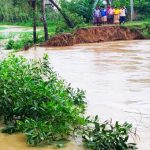 image-305405-1777441325bdjournal