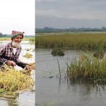 image-305465-1777517816bdjournal