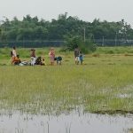 Untitled-10